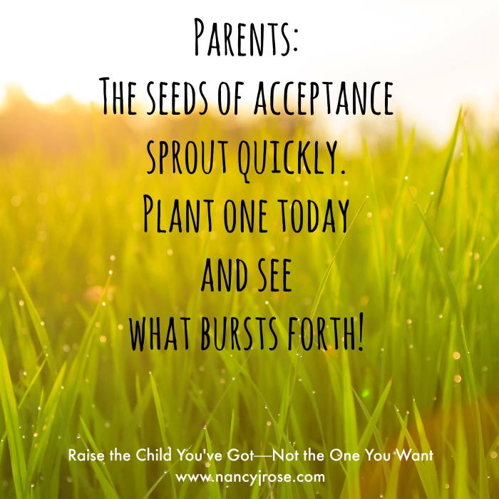 Plant one today and see what bursts forth!